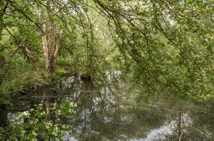 Photo 25- click for photo gallery